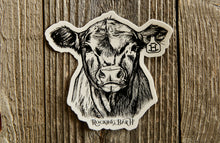 Load image into Gallery viewer, Rocking Bar H Ranch Stickers